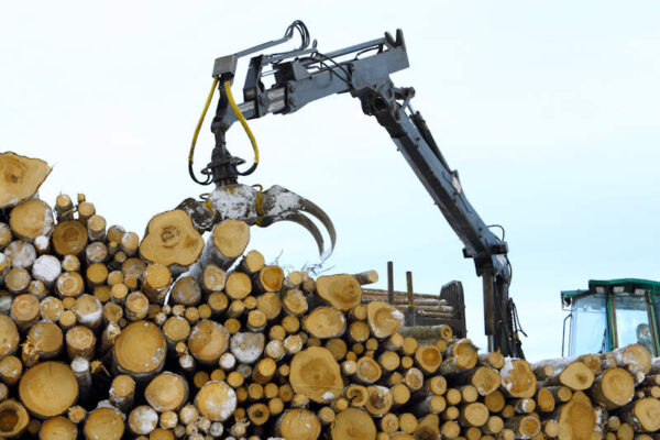 N106 Log handler